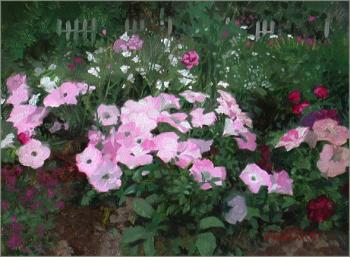 威廉 惠特尅 Petunias 威廉 惠特尅 Petunias